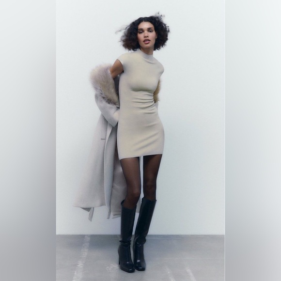 ZARA - Bodycon Sweater Dress - Picture 1 of 4